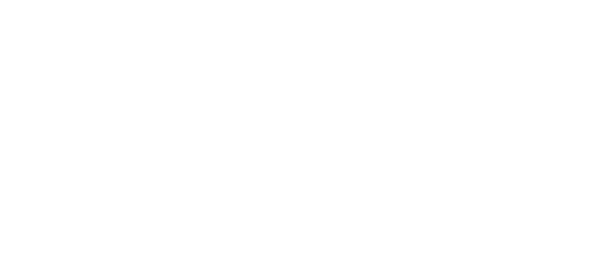VEM