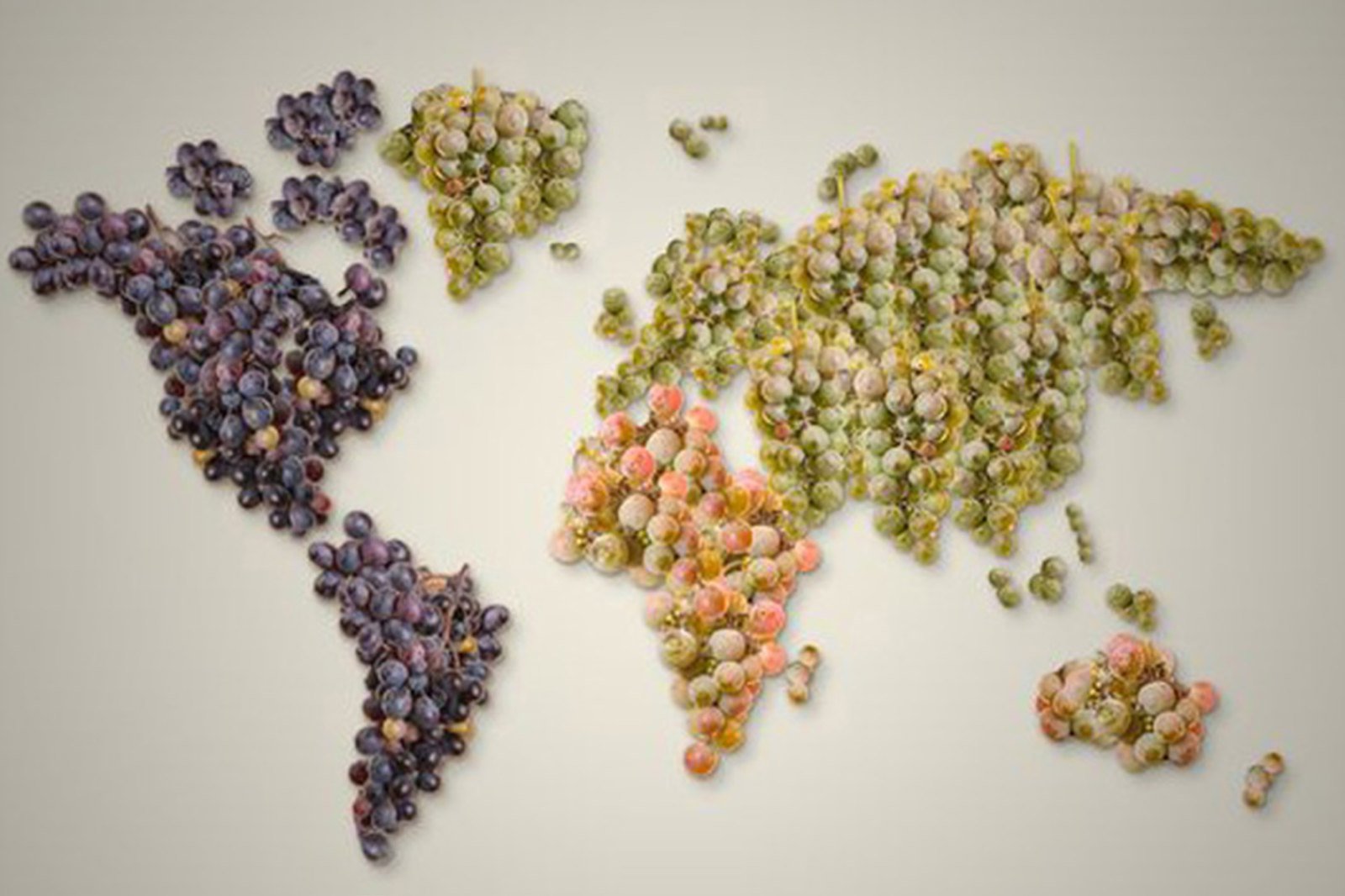 the world in a bunch — reference