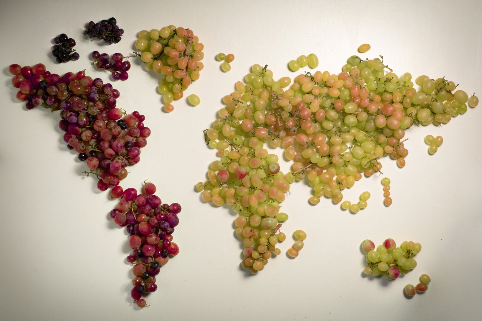 the world in a bunch — shot